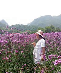 �����Ҳ�պ�����