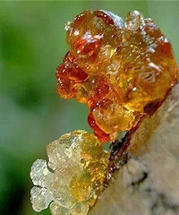 �����һ��ᣬ�����һ������һ���