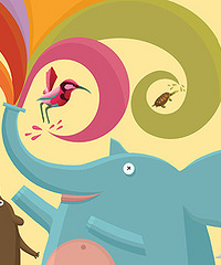 ���汾Ȧ����������ӹ����������汾��6��7��-7��11��