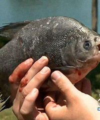 Theday���е���ר������Ӿ��غ��