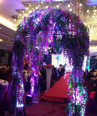 ���Ƶ꡿��Զ���ʴ�Ƶ�