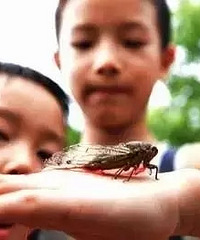 [̨��]Сʱ�������������ģ����ǵ���?