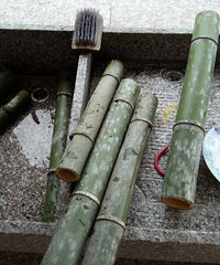 �����Լ���Ͳ��������������Ҳ���Լ�����