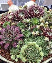 ������֮ǰ��������