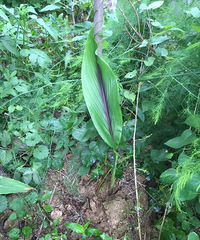 ˭֪�����ʲô��