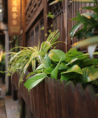 С����ˮ�����꽭�ϣ�16��������������