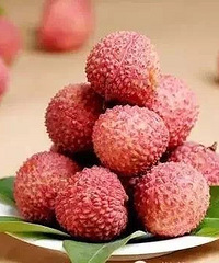 ��֦պ���ͣ������ˣ��������֦����ȷ���Է�ʽ