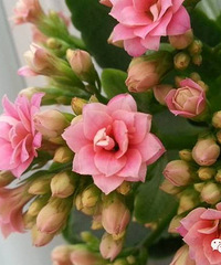 [ʵ��]20�ֳ����ݱ����ܵ�Ǥ�巽��