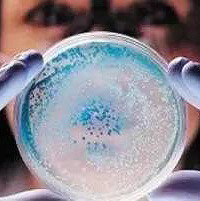 ���棡15��������Լ���һ�����κ��ϰֵĲ�