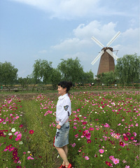 ���ʺ�������