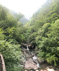 端午之行,黄山之旅