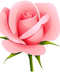 28��165cm���ƽ�ʦ�г��������򷿰�������