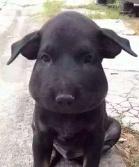 ���㲻Ҫȥ���۷��棬���ǲ���