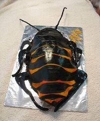 ����һ�����˻��������Ѿ��ĵ��⣬���Ѿ�����ϴ�ּ�