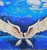 ��̨Ϳѻ���󰶣�������һ����