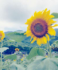 ��һ�����ܽӴ�