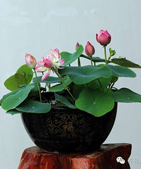 �ļ�������14�ֻ��ܣ����������