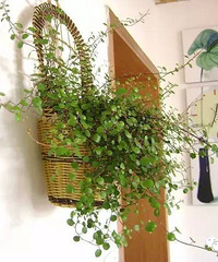 �ļ�������14�ֻ��ܣ����������