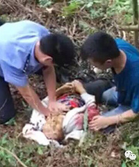 ����һŮ��ժ��÷������ˤ��������������