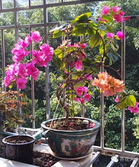 ����ʧ����8���������У�ֻ���ڸ���