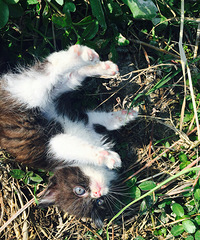 ��������������