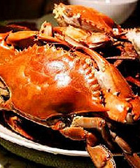 ���������з �㽭����һ��׳������������