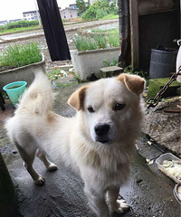 ������ʲôƷ�ֵĹ�