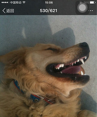 #�ȳ����#���¸߶ȣ������¸߶�