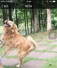 #�ȳ����#���¸߶ȣ������¸߶�