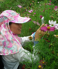 [����]����ͽ������¦�� ���ڻ�����