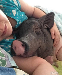 ����ɹ170������� ÿ��ͬ����˯��