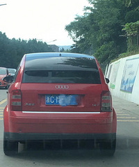 ��������һ�� ������ʲô���ӵĳ�