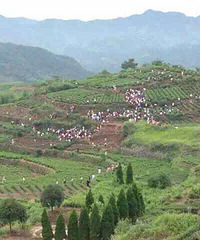 �Ͱ�Сɽ���ڵ��챦ʯ�� ����׷�ǰȥ