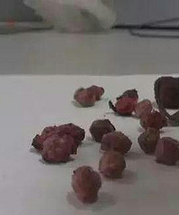 ��ˮ1�����̽��ٿ���÷�˽���������������������