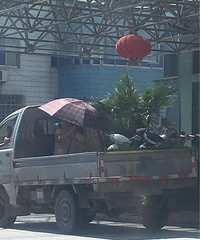 ��磬���⶯��������