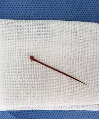 �㽭С�ﻻ����ϯ��˯��һҹ���β��ͱ��������ֶ�������