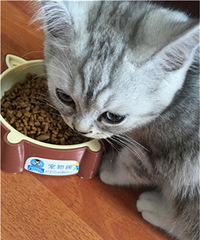 ��ӭ�����ѵĵ���