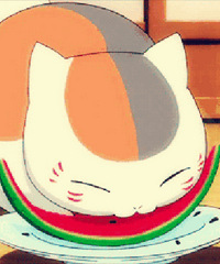 һ�����ϣ���ŭ���й���