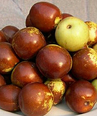 ���Ҽ�����һ�Ρ��ջ�һö�����Ż���һ���� �Ϲ�����Ҫ