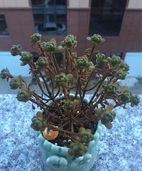 �ҵĶ�����ô�������ˣ�������