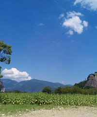 夏景