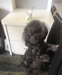 �������̿����ң��������̿����ң�һֱ�ظ�