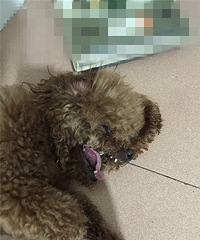 #�ȳ����#+Ϊ���ý�����Ҳ�ǹ�ƴ����