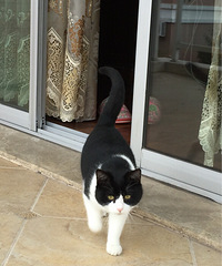 Сè������ͣ�������̨�أ�