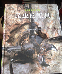 ��6�»汾������Ĺ���