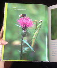 ��6�»汾������Ĺ���