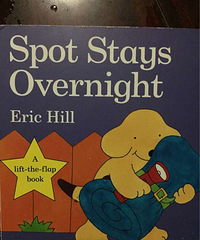 ���»汾�¡�spot stays overnight��