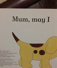 ���»汾�¡�spot stays overnight��