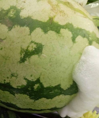 ��������ô��ģ����°�ĭ�������ж�����?