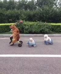 ��һ��磬��ģ����